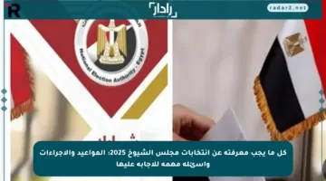 كل ما يجب معرفته عن انتخابات مجلس الشيوخ 2025: المواعيد والإجراءات وأسئلة مهمة للإجابة عليها